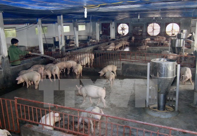 Chính sách tín dụng nông nghiệp, nông thôn: Đáp ứng nhu cầu, nguyện vọng của nông dân 